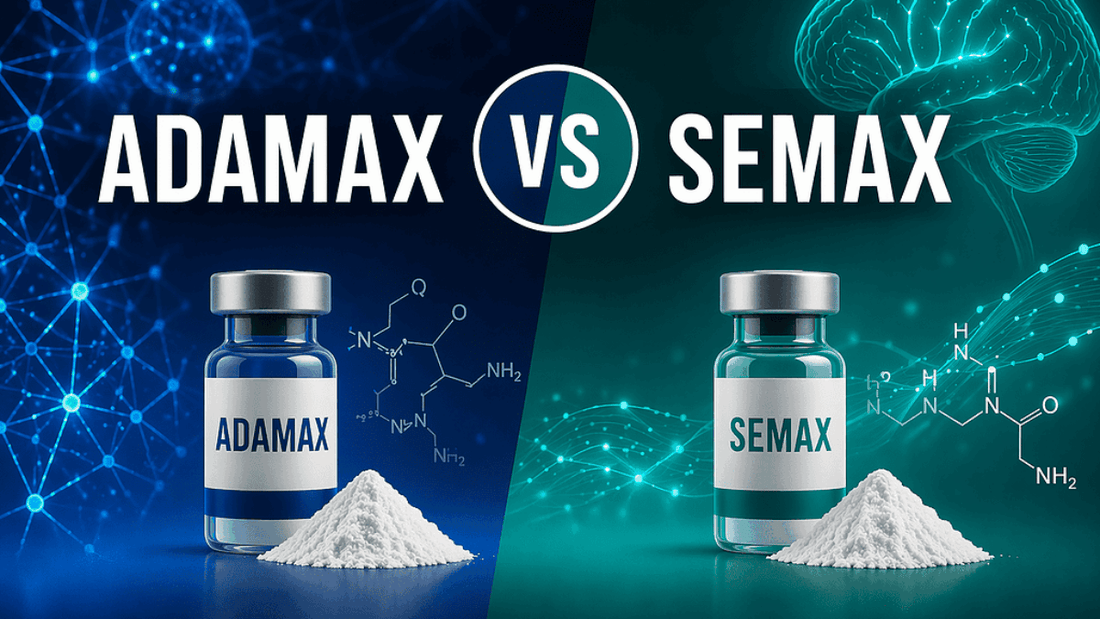 Semax and Adamax: A Structural and Mechanistic Comparison